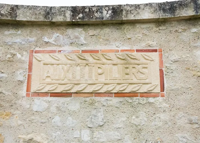 D'architecte 6 Pers. Avec Terrasse Et Jardin A - Fr-1-426-480 * Pissotte